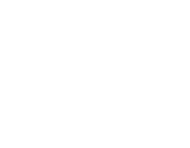 toastit